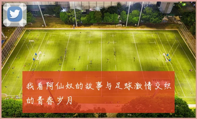 我看阿仙奴的故事与足球激情交织的青春岁月
